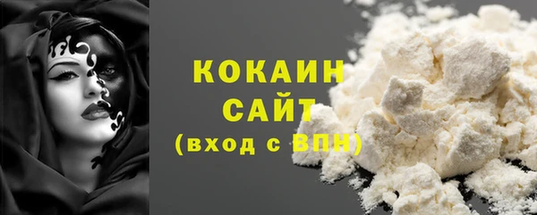 СК Новосибирск