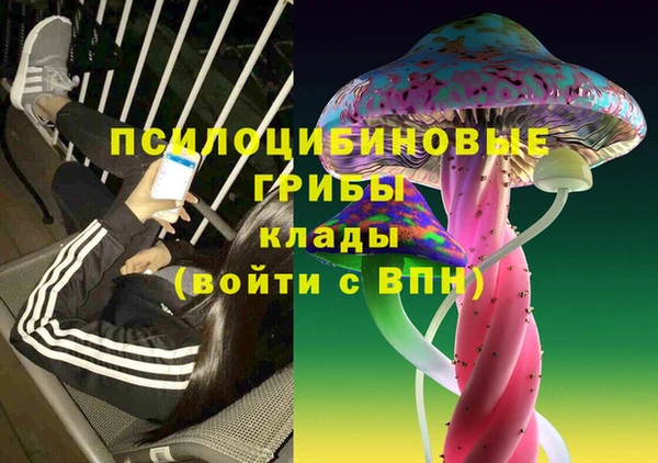 spice Волоколамск