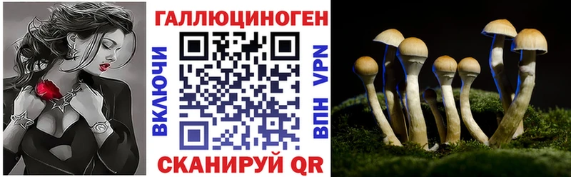 ссылка на мегу маркетплейс  Орехово-Зуево  Галлюциногенные грибы MAGIC MUSHROOMS  дарнет шоп 