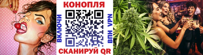 магазин продажи наркотиков  Орехово-Зуево  Шишки марихуана марихуана 